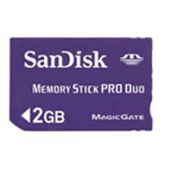 MEMORY STICK PRO DUO 2 GB. SANDISK